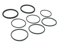 Jandy® DEL Series O-Ring Replacement Kit (R0358000)