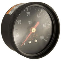 Jandy® DEV Filter, Pressure Gauge (R0359600)