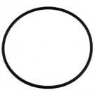Jandy® Energy Filter O-Ring (R0374500)