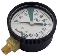 Jandy® Ray-vac™ Original Gauge 0-60 PSI, 1/8in. Bottom Mount (R0377700)