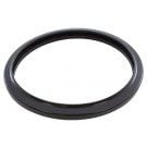 Jandy® Colors Pool Light (JPL and CP Models), Lens Gasket (R0399800) Use (R0451101)