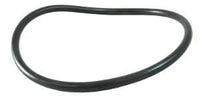 Jandy® FHPM FloPro & VS FloPro Pump Lid O-ring (R0480200)