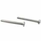 Pentair Jet Vac Pool Cleaner, Screw for Roller Arm (JV41)
