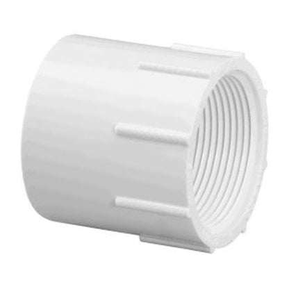 Lasco Female Adapters, PVC, 1-1/4 in. (435-012)