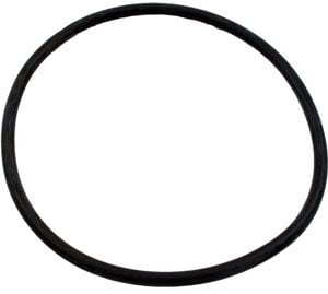 Purex AH Pump Trap 6 in Lid O-ring (O-12) Overstock+