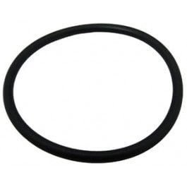 PacFab PVC Slide Valve Cap Oring, 2in (O-41) Overstock+
