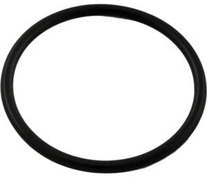 Sta-Rite Dura-Glas/Max-E-Glas SR Diffuser Oring (O-49)