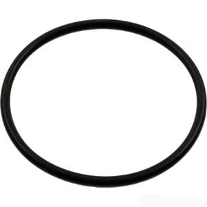 PacFab 540 Hydropump Lid Oring (O-74)