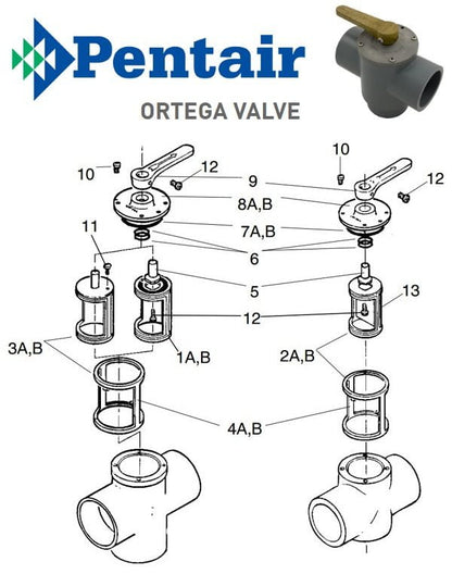 Diverter Valves Ortega Valve Parts