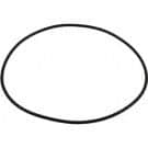 Polaris® Halcyon® Pump Seal Plate O-ring (P85)