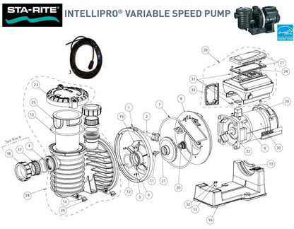 Sta-Rite IntelliPro VS 3050 Pump Parts