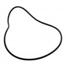 Pentair SMBW Valve Body O-ring. (071427) (P24103)