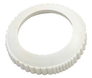 Pentair Ortega Return Line Check Valve, Screw Cover Eyeball (072503)