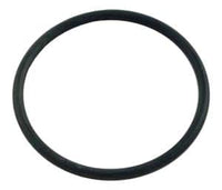 Pentair Ortega Spring Check Valve, Cap O-Ring, CPVC 2.0 in. (072560)