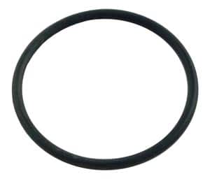 Pentair Ortega Spring Check Valve, Cap O-Ring, CPVC 2.0 in. (072560)