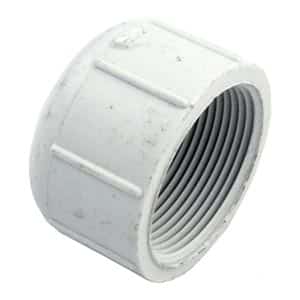 Pentair TR 100C/140C Threaded Drain Cap 1-1/2 in. (154871)