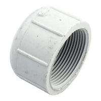 Pentair TR 100C/140C Threaded Drain Cap 1-1/2 in. (154871)