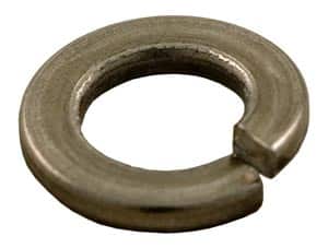 Pentair Nautilus SS Lockwasher 5/16in. S/S (older filters) (174955)
