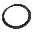 Pentair DM Filters Cartridge Filter, Tank O-Ring (178568)