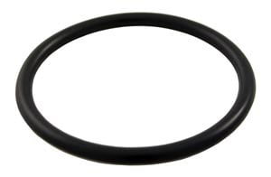 Pentair Star DE Filter, 1.5 in. Cap Plug, O-Ring (191474)