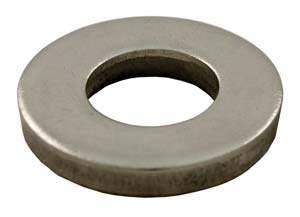 Pentair FNS Clamp Washer, small ID (after 3/93) (195610)