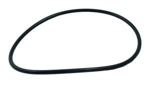 Pentair Tagelus O-Ring, Valve Body - 3/16 x 6-1/2in. I.D. - TA100D (275333)