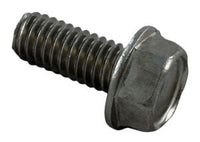 Pentair Challenger/Waterfall Screw, 5/16in.-18 x 3/4in. S/S Washer Head (354265)