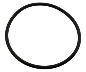 Challenger (High Pressure/High Head Models) /Waterfall Diffuser O-ring (355331)