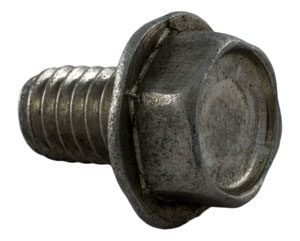 Pentair Challenger/Waterfall Screw, 5/16in.-18 x 1/2in. S/S Hex Washer Head (355335)