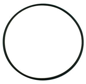 Pentair Pinnacle O-Ring, Seal Bracket (355619)
