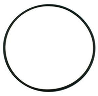 Pentair Pinnacle O-Ring, Seal Bracket (355619)