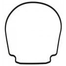 Pentair IntelliFlo® Black Gasket for Seal Plate (357100)