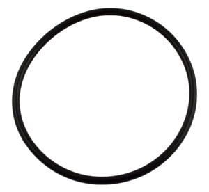 Pentair SuperFlo Pump Strainer Pot Lid O-Ring (357255)