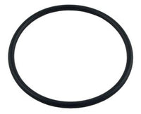 Pentair Maxim O-Ring (39101900)