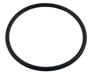 Pentair Maxim O-Ring (39101900)