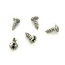 Pentair Legend II Turbine Shaft Shield Screw (Pk of 5) (EA30)