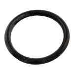 Pentair Legend/Legend II Feed Mast O-ring (EU7)