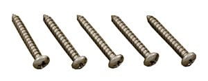 Pentair Jet Vac Pool Cleaner, Screw for JV5C & JV2B, 5 Pack (JV46)