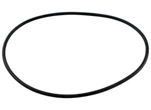 Pentair Booster Booster Pump Volute O-Ring (LA415)