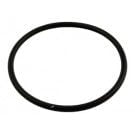 Pentair/Rainbow Chlorinator Generic Lid O-Ring All 300, 320 Models (R172009) (O-283)