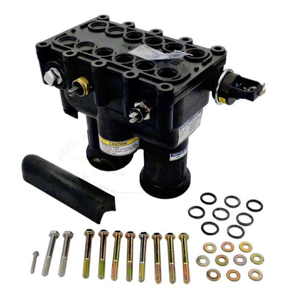 02 - Pentair MasterTemp Manifold Kit, Complete, Models 250NA/LP (460748)