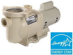 Pentair SuperFlo Pump, 1.0 HP 230v Uprated, 2 speed (340042)