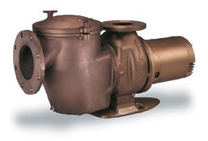 Pentair C-Series Pump, w/Hair & Lint Trap, 7.5 HP, CHK-75, 3 Phase, 200-208v (347943)