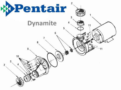 Dynamite Pump Parts