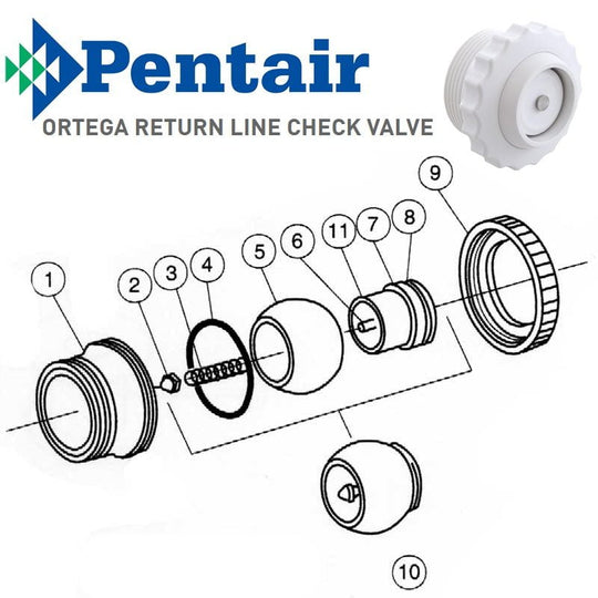 Pentair Ortega Return Line Check Valve Parts