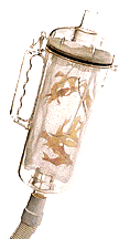 Rainbow Leaf Canister / Trap / 3ft Hose (R211084)