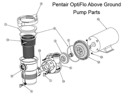 Pentair And Sta-Rite OptiFlo (Above Ground) Pump Parts