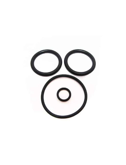 Pentair PacFab Piston ORing Set 2 Inch Plastic V36186