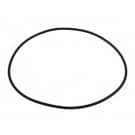 Polaris® N/S PB4-60 Booster Pump Backplate O-ring, 2012 & after (R0536600)