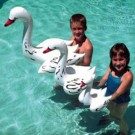 Poolmaster Inflatable Floating Swan 28in. x 30in. (81430)